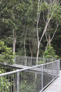 Mamu Tropical Skywalk, QLD, Australie