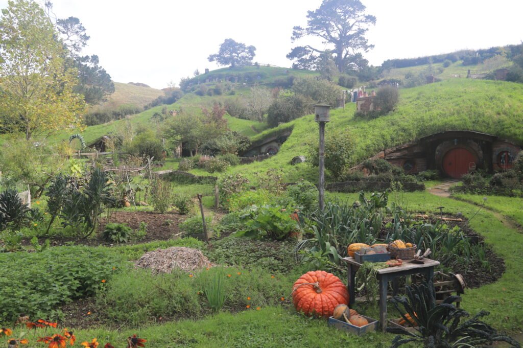 Hobbiton Movie Set Tour en Nouvelle Zélande